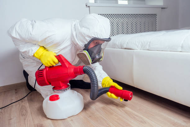 Best Commercial Pest Control  in Somerton, AZ